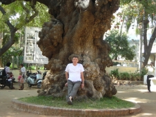 Ретрит Индия 2011 - Вот так дерево!